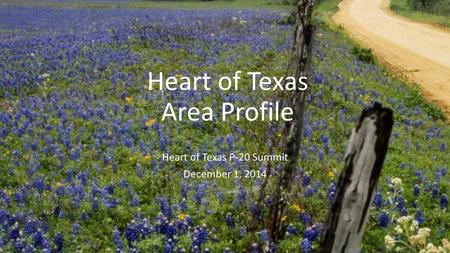 Heart of Texas Area Profile Heart of Texas P-20 Summit December 1, 2014.