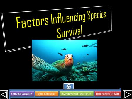 Factors Influencing Species Survival