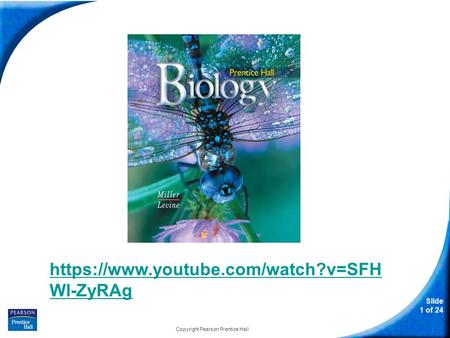 Slide 1 of 24 Copyright Pearson Prentice Hall Biology https://www.youtube.com/watch?v=SFH Wl-ZyRAg.