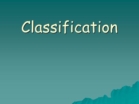 Classification. Classification and taxonomy  Define the terms taxonomy, phylogeny and classification  Explain the relationship between classification.