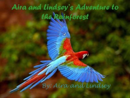 Aira and Lindsey’s Adventure to the Rainforest By: Aira and Lindsey.