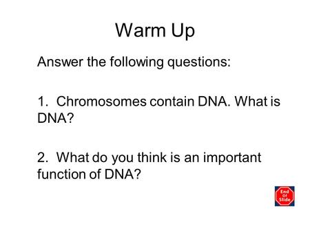 Warm Up Answer the following questions: 1. Chromosomes contain DNA. What is DNA? 2. What do you think is an important function of DNA?