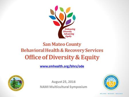 San Mateo County Behavioral Health & Recovery Services Office of Diversity & Equity August 25, 2016 NAMI Multicultural Symposium