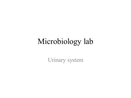 Microbiology lab Urinary system. Urine culture steps 1.Collect the sample in sterile container: 1.Midstream catch. 2.Through a catheter. 3.Suprapubic.