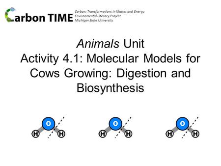 Carbon: Transformations in Matter and Energy Environmental Literacy Project Michigan State University Animals Unit Activity 4.1: Molecular Models for Cows.