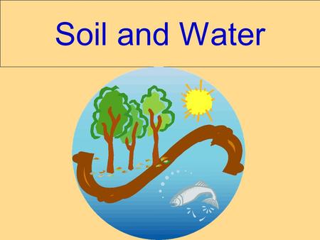 Soil and Water. Soil – an abiotic factor Soil quality is based on: 1. Soil profile / Horizons 2. Composition 3. Texture 4. Particle size 5. Permeability.