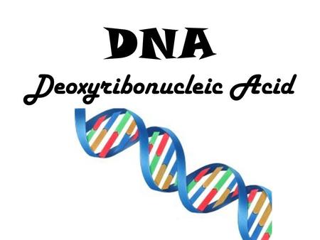 DNA Deoxyribonucleic Acid. Scientists Discovering DNA Erwin Chargaff: discovered base pairing –Percentage of adenine = thymine –Percentage of cytosine.