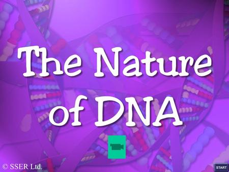 © SSER Ltd..  Visit this site to investigate the history, structure and role of DNA.