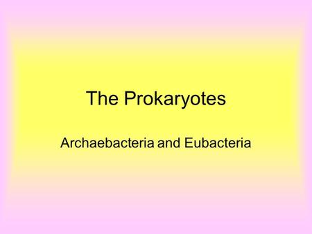 The Prokaryotes Archaebacteria and Eubacteria. Prokaryotes (bacteria) are split into two domains: –Archae: the extremists –Bacteria: the heterotrophs.
