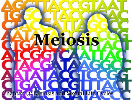 Meiosis Chapter 13: Meiosis and Sexual Life Cycles.