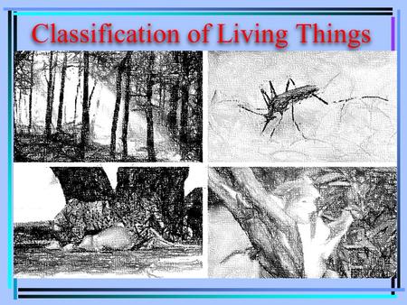 Classification of Living Things. Taxonomy is the science of grouping and naming organisms. Classification the grouping of information or objects based.