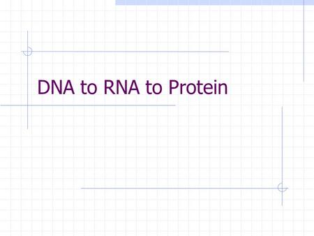 DNA to RNA to Protein. RNA Made up of 1. Phosphate 2. Ribose (a sugar) 3. Four bases RNA bases are: Adenine Guanine Cytosine Uracil (instead of thymine)