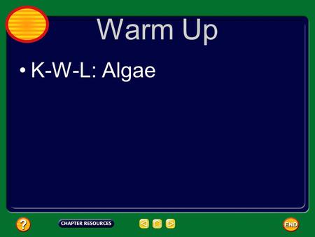 Warm Up K-W-L: Algae. Warm Up Write the question and the answer: What are the three groups we divide Protists into?