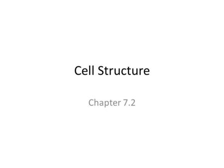 Cell Structure Chapter 7.2. A Factory Cell Organization Central control - Nucleus Organelles that store, clean up, and support – Vacuoles/vesicles, lysosomes,