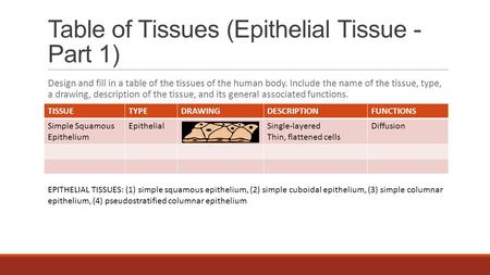 Table of Tissues (Epithelial Tissue - Part 1) Design and fill in a table of the tissues of the human body. Include the name of the tissue, type, a drawing,