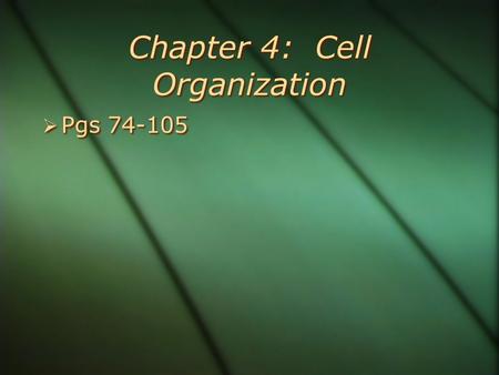 Chapter 4: Cell Organization  Pgs 74-105. Student Objectives  Summarize the relationship among cell organization, cell size and maintaining homeostasis.