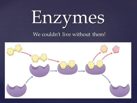 { Enzymes We couldn’t live without them! Flow of energy through life - Life is built on chemical reactions.