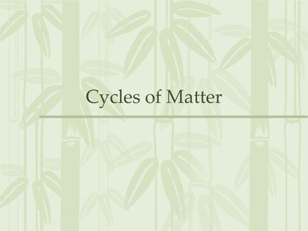 Cycles of Matter. More Than Just Energy All living organisms need energy to survive, but they also need….. 1.Water 2.Minerals 3.And other life sustaining.