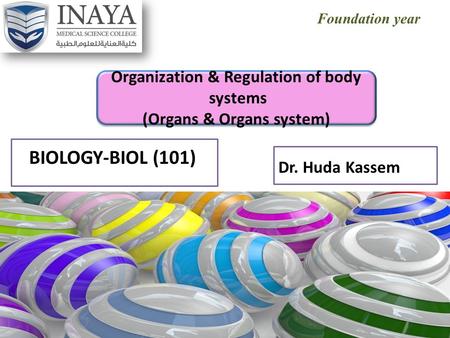 Foundation year BIOLOGY-BIOL (101) Organization & Regulation of body systems (Organs & Organs system) Dr. Huda Kassem.