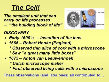 The Cell! The smallest unit that can carry on life processes → “the building block of life” DISCOVERY ∙ Early 1600’s → invention of the lens ∙ 1665 – Robert.