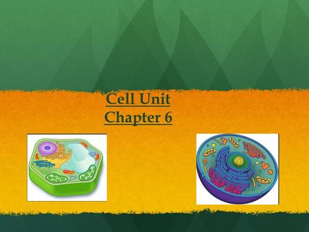Cell Unit Chapter 6. Definition of Cell? Basic Unit of Life. The smallest part of an organism that is alive because it can carry out all of the characteristics.