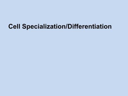 Cell Specialization/Differentiation. Specialized Cells/ Cell Differentiation  Multicellular organisms contain a wide range of different cells.  Every.