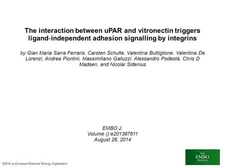 The interaction between uPAR and vitronectin triggers ligand ‐ independent adhesion signalling by integrins by Gian Maria Sarra Ferraris, Carsten Schulte,