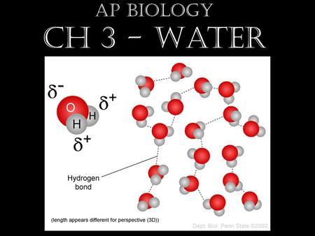 AP Biology Ch 3 - Water. 3.1 The Polarity of Water Molecules Results in Hydrogen Bonding H 2 O – 2 hydrogen, 1 oxygen Difference in electronegativity.