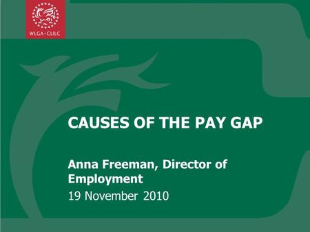 CAUSES OF THE PAY GAP Anna Freeman, Director of Employment 19 November 2010.
