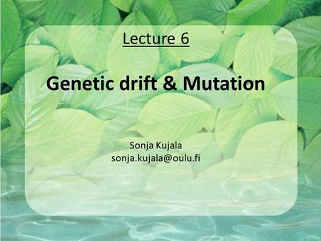 Lecture 6 Genetic drift & Mutation Sonja Kujala
