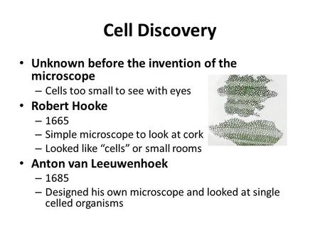 Cell Discovery Unknown before the invention of the microscope – Cells too small to see with eyes Robert Hooke – 1665 – Simple microscope to look at cork.