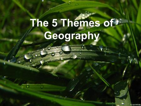The 5 Themes of Geography. What is Geography? Physical Geography: The study of earth and its landforms. Cultural Geography: The study of people, their.