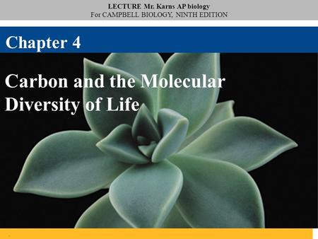 LECTURE Mr. Karns AP biology For CAMPBELL BIOLOGY, NINTH EDITION. Carbon and the Molecular Diversity of Life Chapter 4.