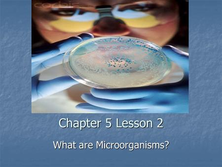 Chapter 5 Lesson 2 What are Microorganisms?. Vocabulary Preview Microorganism: an organism that is too small to be seen with an unaided eye Microorganism: