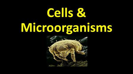 Cells & Microorganisms. Cells 1)What are cells? - the basic unit of structure and function in living things; most cells have to be seen with microscope.