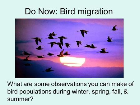 Do Now: Bird migration What are some observations you can make of bird populations during winter, spring, fall, & summer?