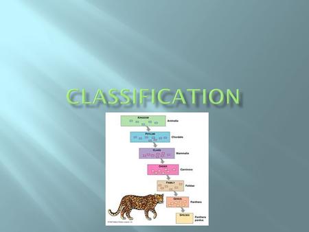  What methods are used to classify living things into groups?  Why does every species have a scientific name?