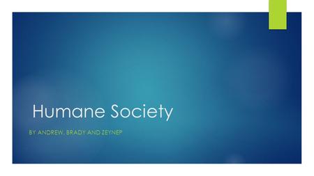 Humane Society BY ANDREW, BRADY AND ZEYNEP Goal  The goal of humane society is to help animals and give them new homes and also to find abandoned animals.
