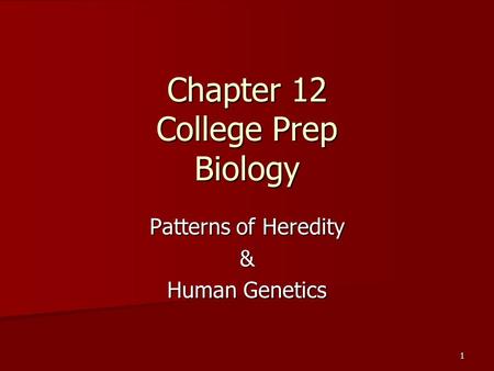 1 Chapter 12 College Prep Biology Patterns of Heredity & Human Genetics.