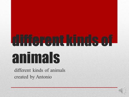 The Names Of Animals From A Z A Is For Anteater Anteaters Eats Ants Ppt Download