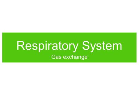 Respiratory System Gas exchange. Why do we breathe? Think of all the reasons why we need a respiratory system. WORKTOGETHERWORKTOGETHER.