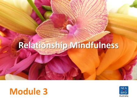 Module 3 Relationship Mindfulness. Welcome back Agenda Last week’s exercise Transactional model – video Relationship Mindfulness – video Module 3 (half)