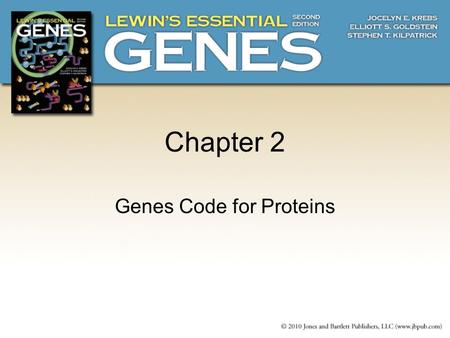 Chapter 2 Genes Code for Proteins. 2.1Introduction Early work measuring recombination frequencies between genes led to the establishment of “linkage groups”: