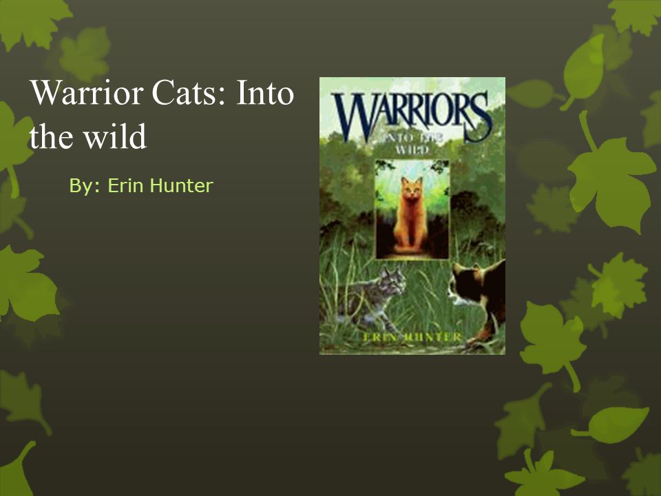 Warrior Cats: Into the wild By: Erin Hunter. SUMMARY: This book is about a  young cat named Rusty, who joins wild cats in the forest to defend  territory, - ppt download