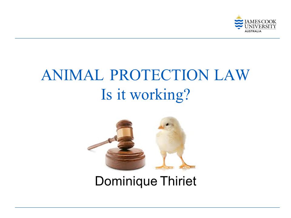 ANIMAL PROTECTION LAW Is it working? Dominique Thiriet. - ppt download