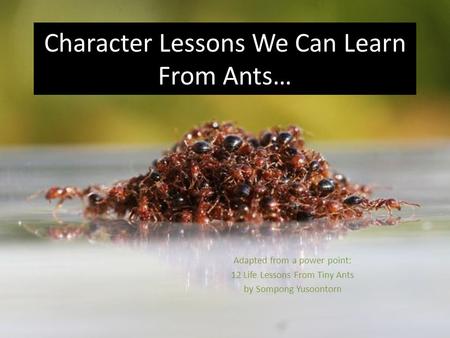 Character Lessons We Can Learn From Ants… Adapted from a power point: 12 Life Lessons From Tiny Ants by Sompong Yusoontorn.