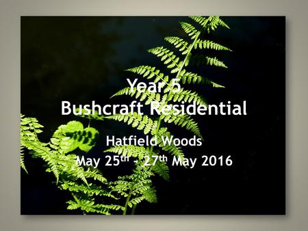 Year 5 Bushcraft Residential Hatfield Woods May 25 th – 27 th May 2016.