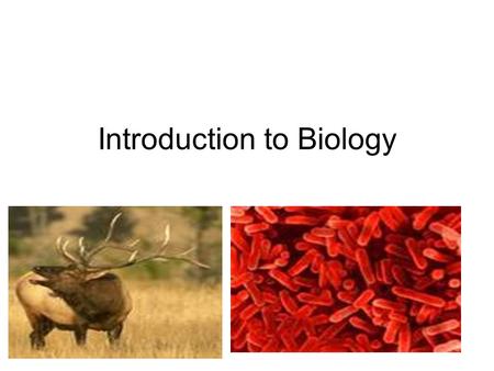 Introduction to Biology. What is Biology? The study of life The science of living things.