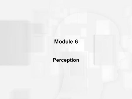 Module 6 Perception. PERCEPTUAL THRESHOLDS Threshold –a point above which a stimulus is perceived and below which it is not perceived –threshold determines.