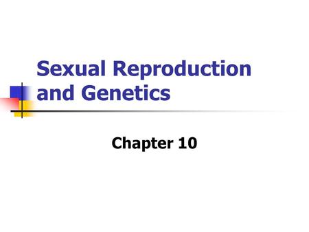 Sexual Reproduction and Genetics Chapter 10. 10.1: Meiosis MAIN IDEA: Meiosis produces haploid gametes.